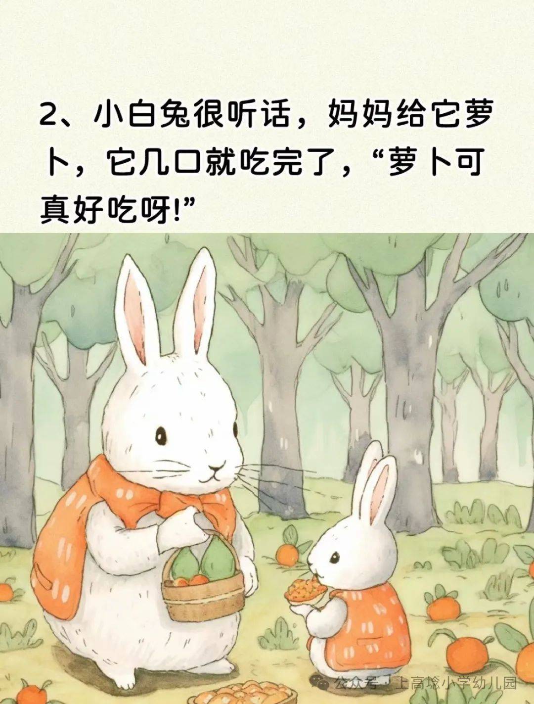 【小耳朵61故事盒子】——不挑食的小兔子