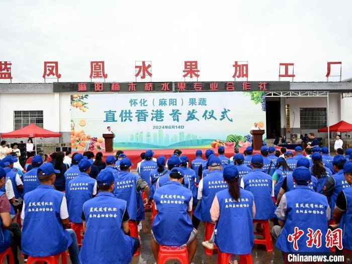 "果蔬拼装"改革助力湖南鲜活农产品供港提速提质_怀化