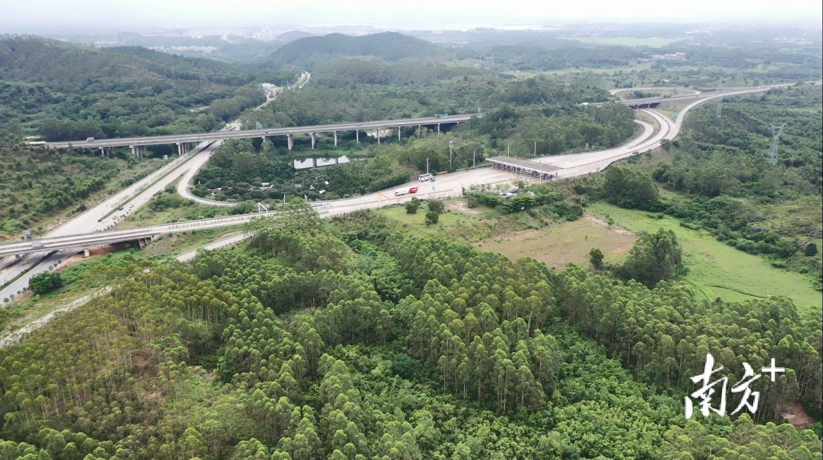 有市民疑问:"哪儿来的这么多树?