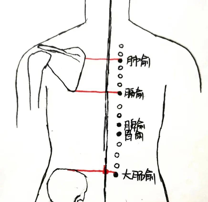 脾虚艾灸哪里效果最好图片