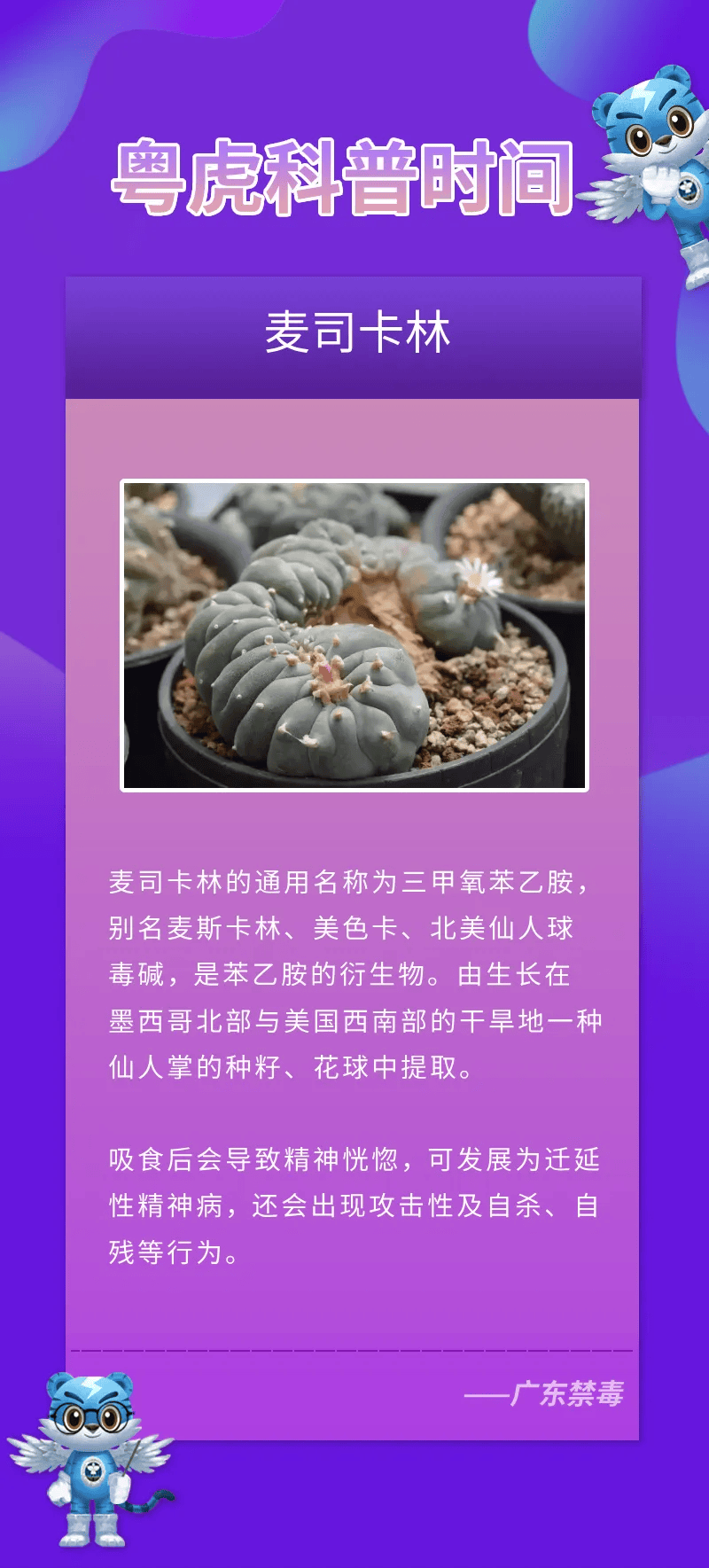 这种多肉植物可致幻!