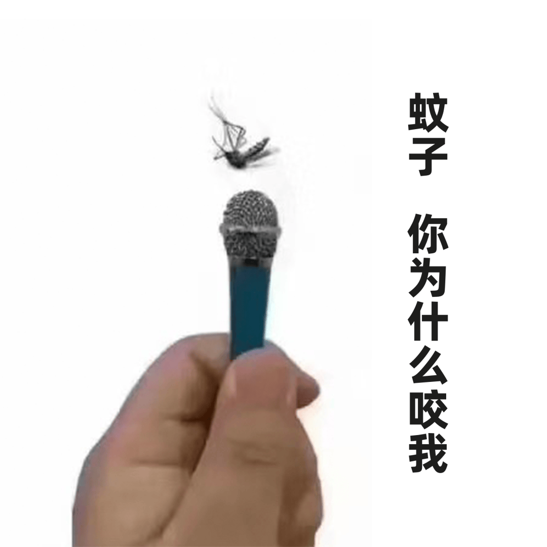 你打蚊子的姿势一直是错的!真正管用的是它们