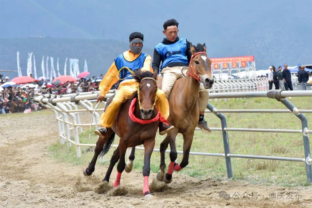 跟着赛事去旅行 | 迪庆61香格里拉赛马会各项赛程圆满结束