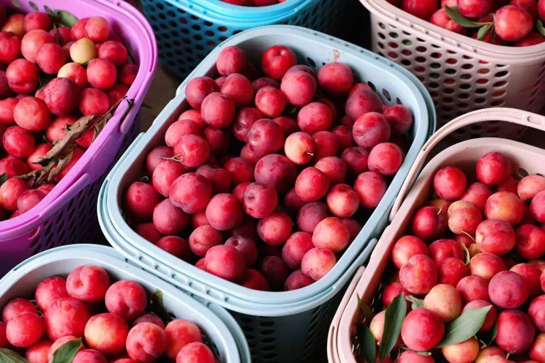 脆爽爆汁,酸甜可口!到成都这里尝夏天的味道