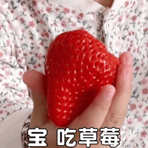 新表情包速递!宝 吃草莓
