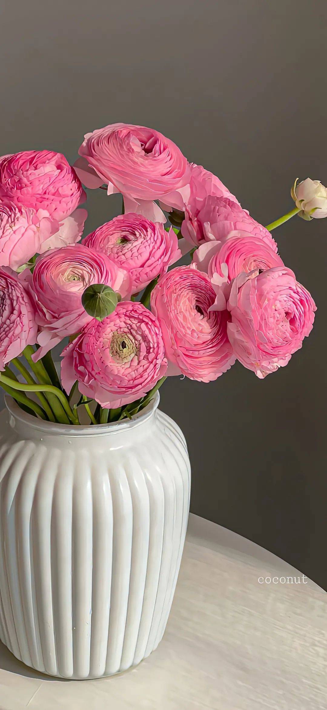 手机壁纸·4k景深全面屏