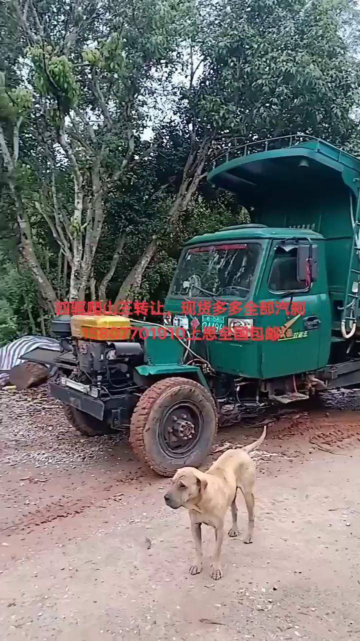 前后驱动转让四驱爬山王