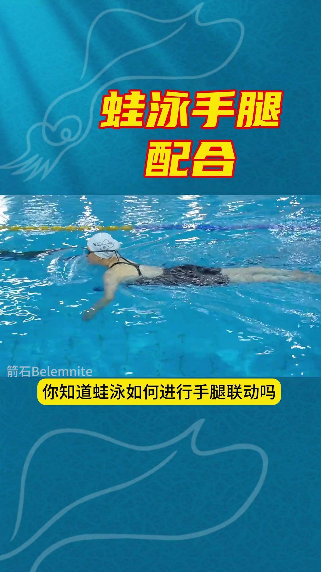 蛙泳手腿配合游泳 蛙泳