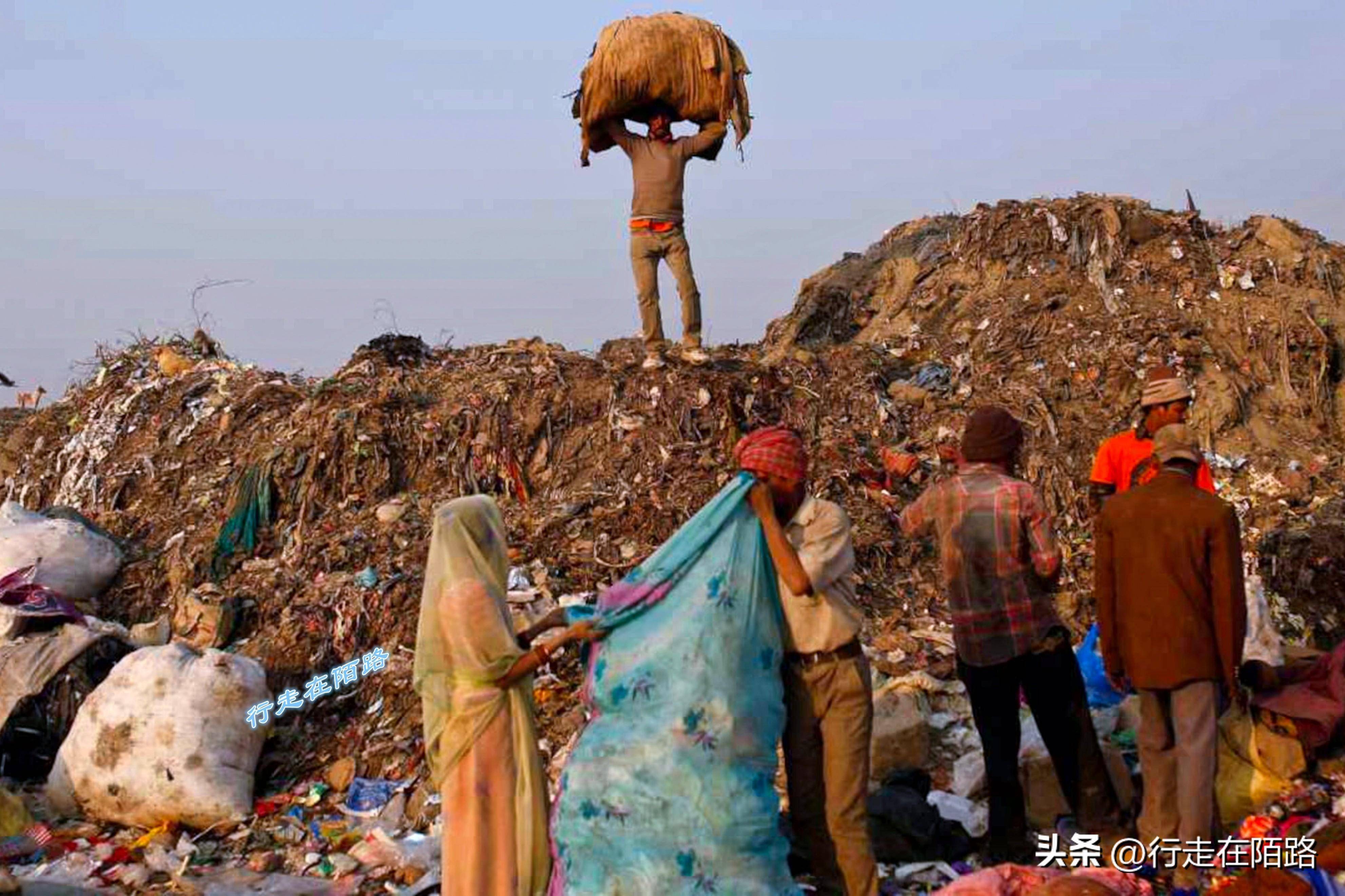 印度为啥这么热?政府画饼民众砍树,工厂作坊疯狂排污