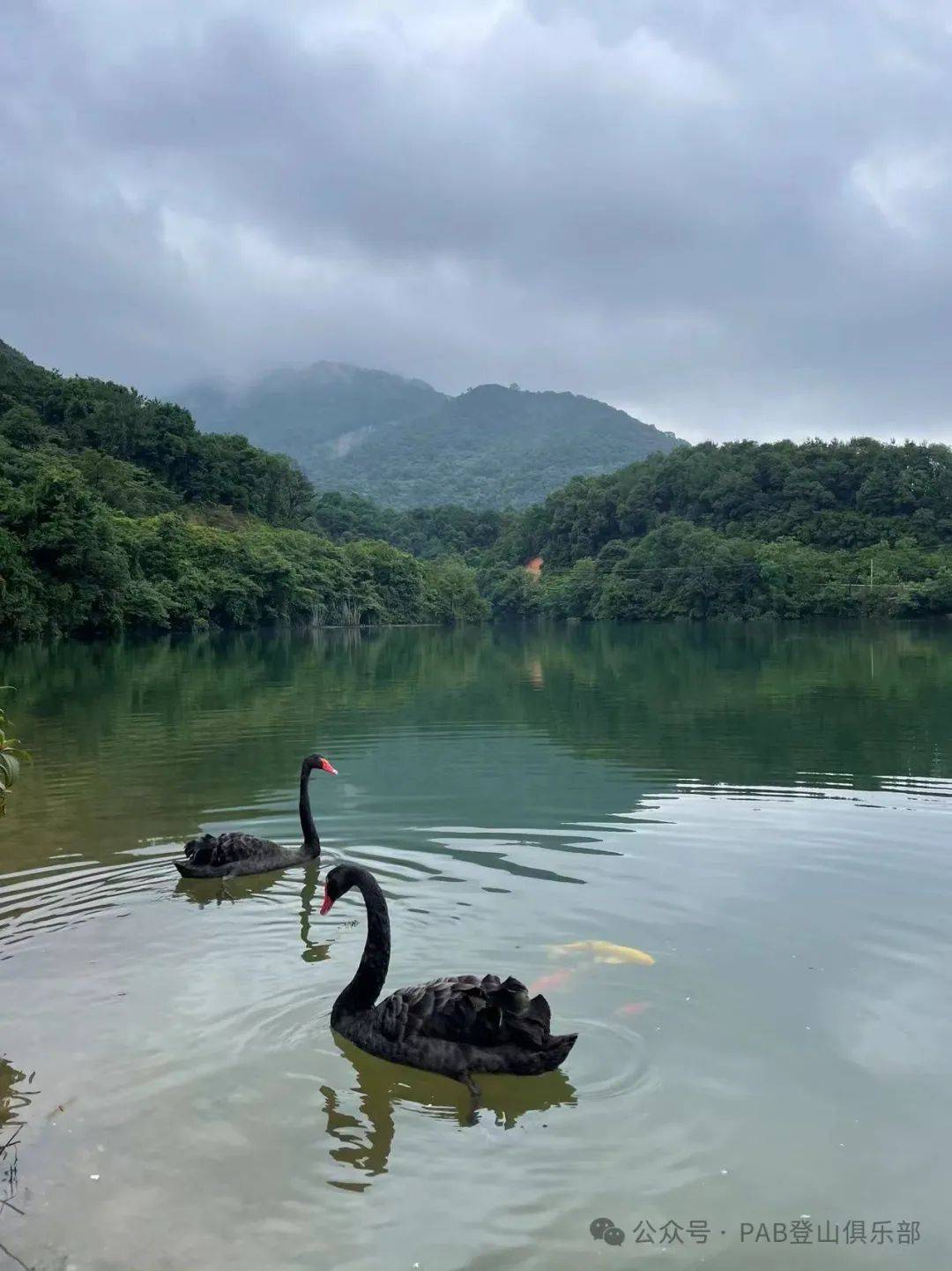 罗浮山天心湖图片图片