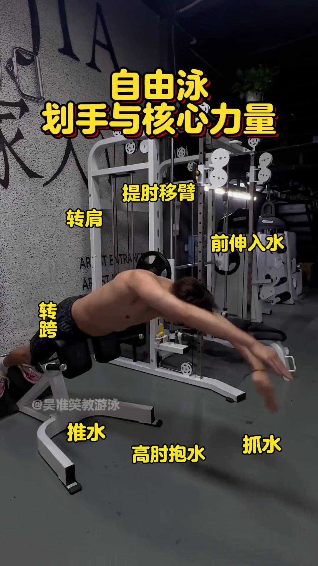 自由泳划手与核心力量日常训练 教学 游泳 核心力量 自由泳