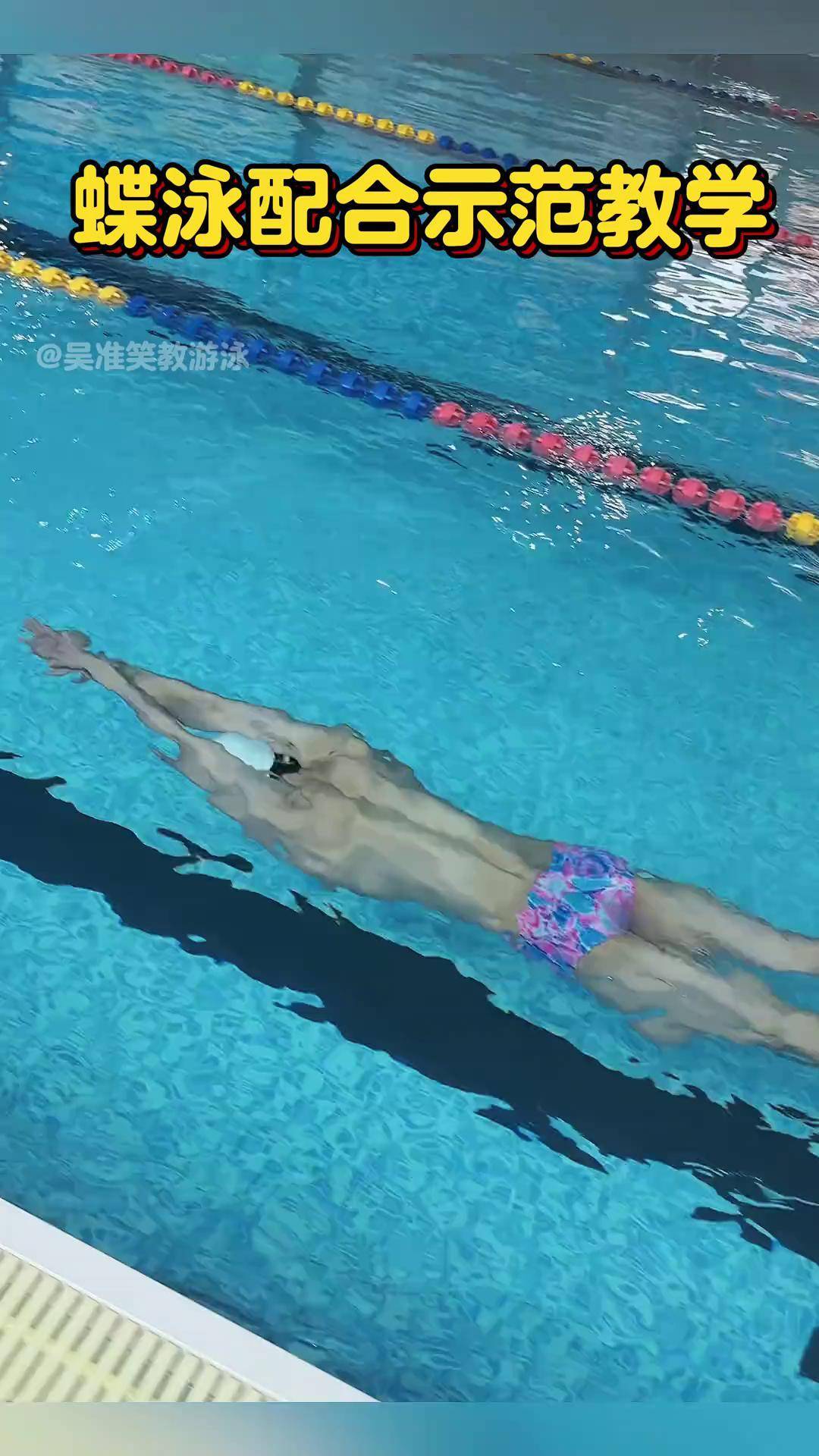 想学蝶泳的过来报道,水下详细教学来了蝶泳 丝滑 教学 free男子游泳部