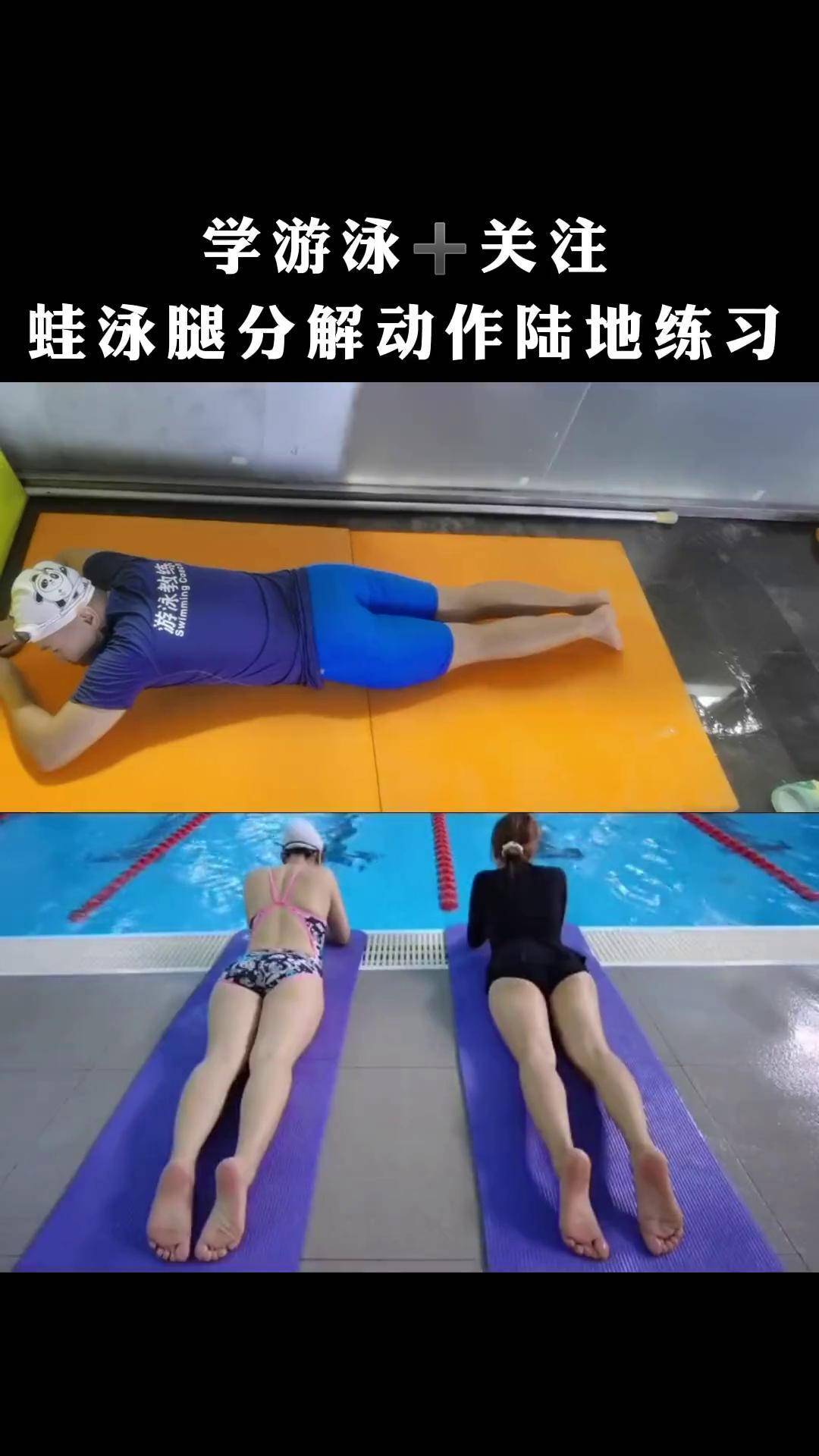 蛙泳腿分解动作陆地练习游泳蛙泳 游泳技巧 运动 蛙泳教学