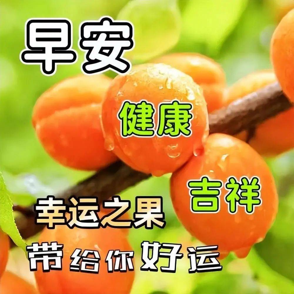 早上好唯美图片清新图片