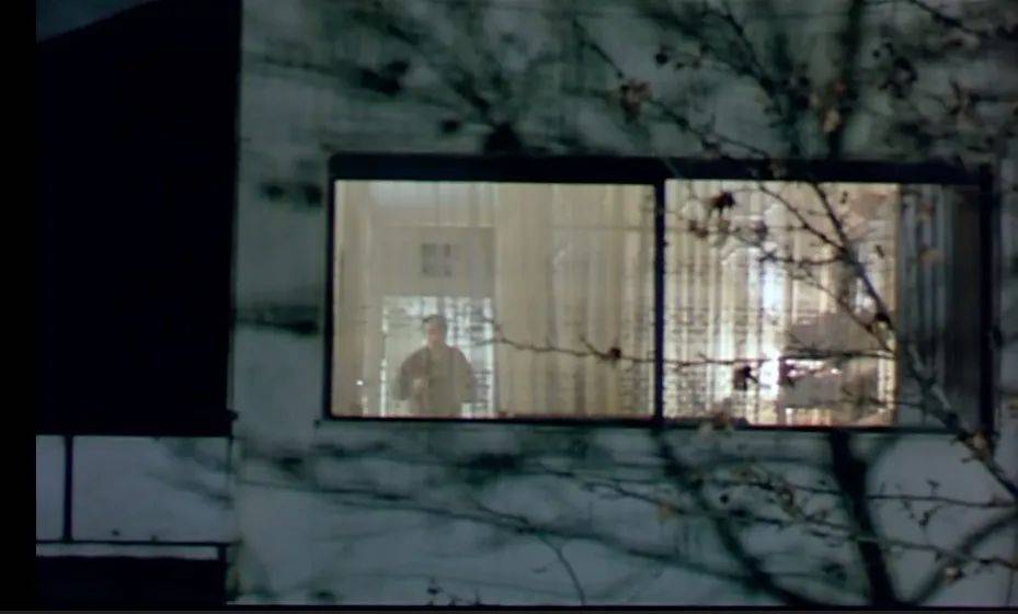 六月重构,失眠、阿巴斯及其他(沈书枝) | 夜读·倾听_小孩_电影_风筝