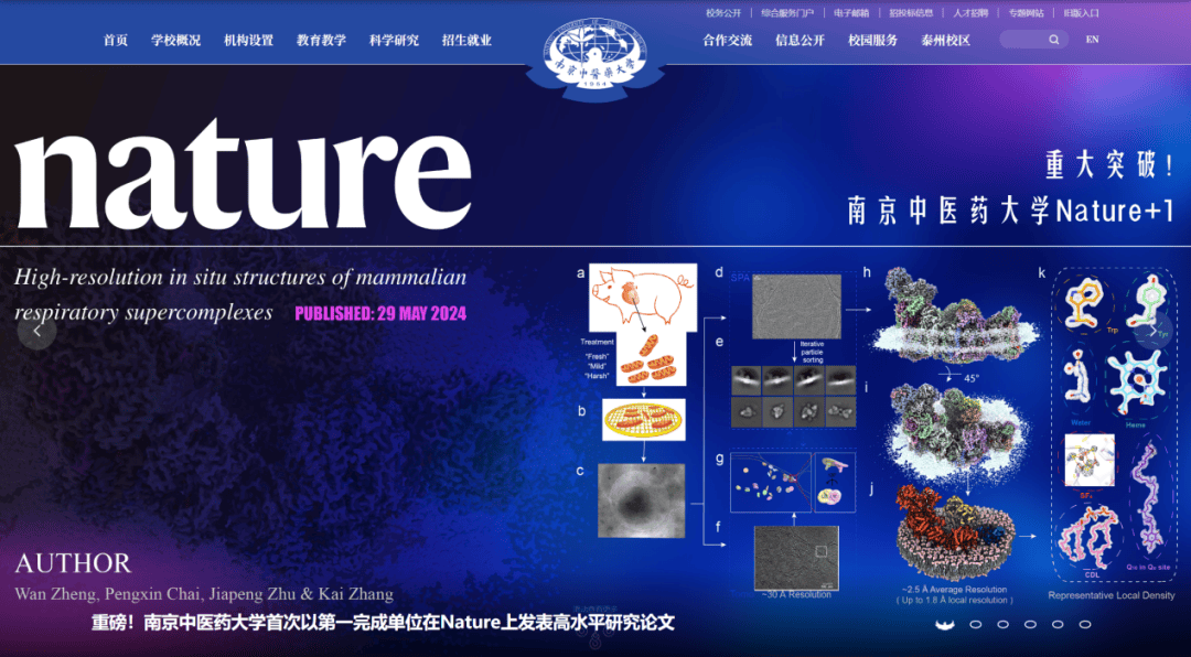 发一篇Nature,这位教授被奖励了100万_研究_线粒体_朱家鹏