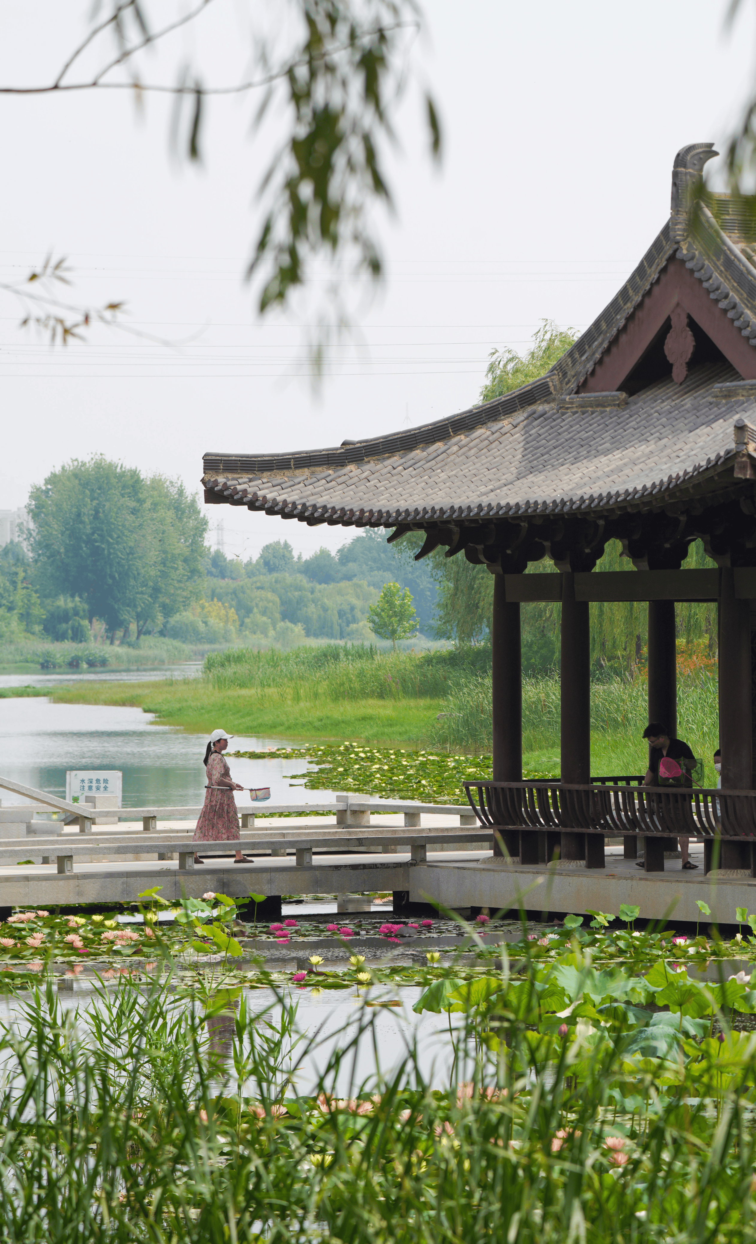 郑州市西流湖公园图片