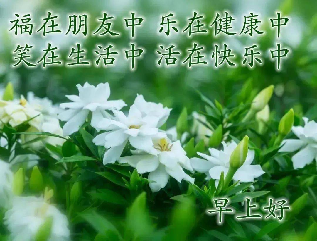 2024今日最新早安早上好精选图片，顺心顺意，早安吉祥！