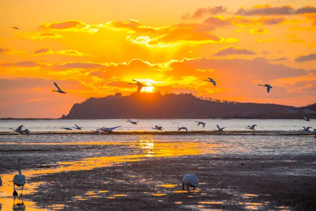 如果是带着孩子来,还可以去西霞口神雕山野生动物自然保护区.