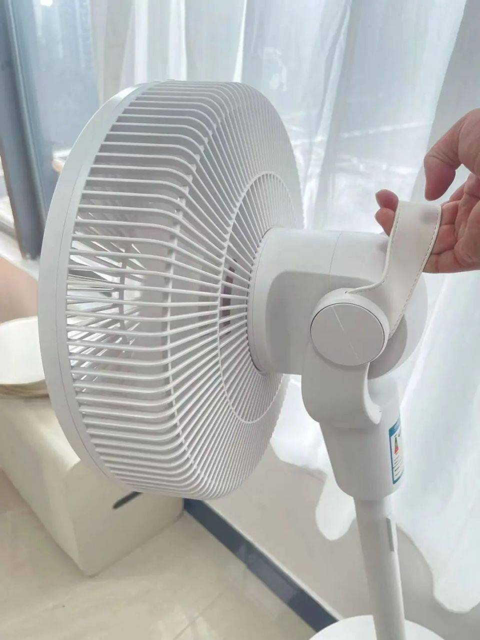 连空调都省了!(不是抱蘑菇