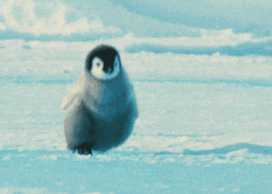 【萍图科普全息小课堂第50期】《行走的可爱——帝企鹅》