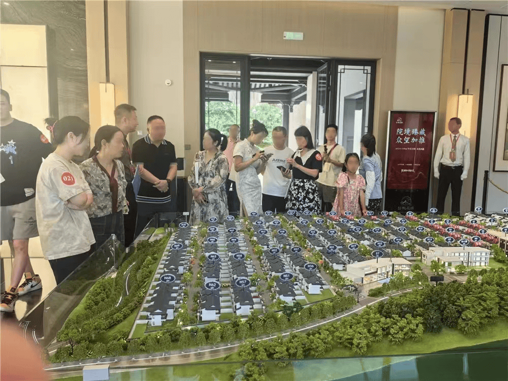 盛誉之下,实力彰显丨蜀天蓝城·桃花源项目载誉销售第二批,去化率高达八成_生活_雅安_开盘