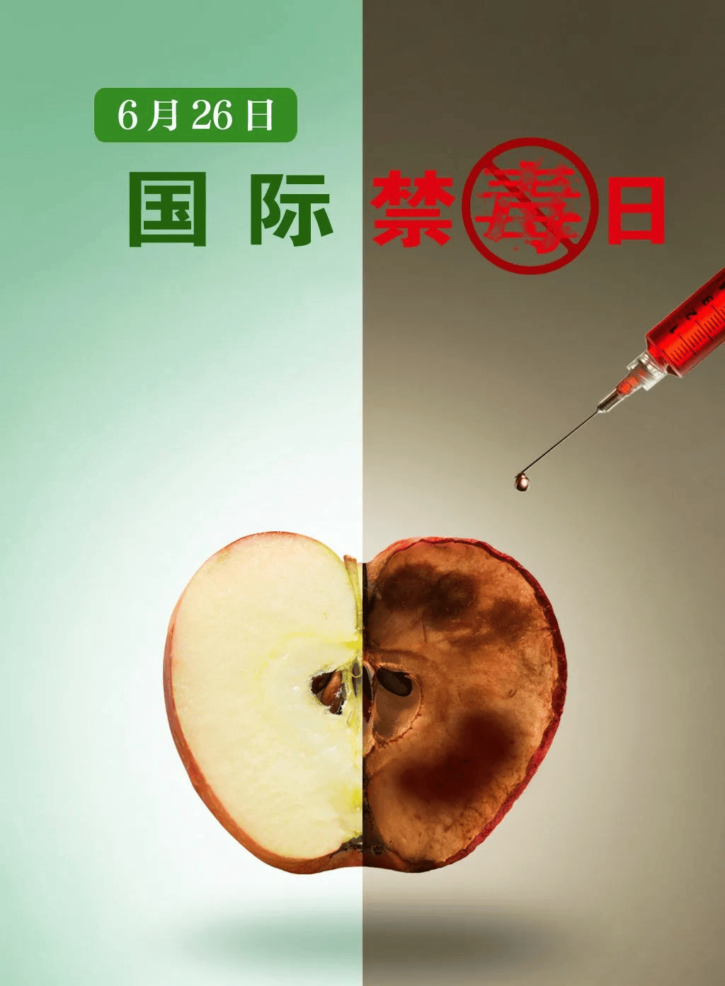 国际禁毒组织图片