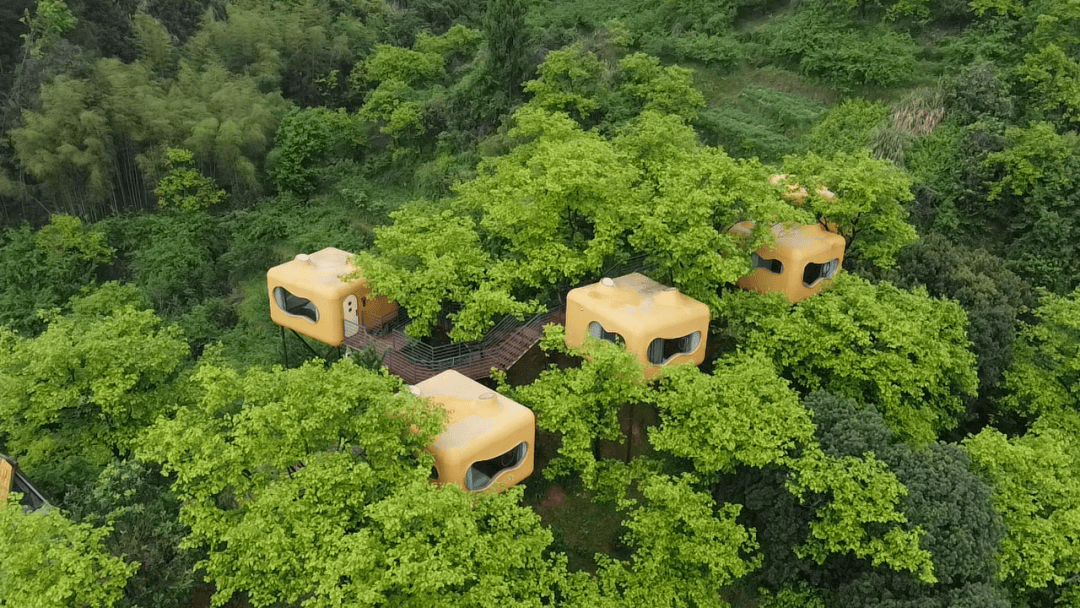 住进如诗如画的金华民宿,一起邂逅飘着仙气的江南秘境!