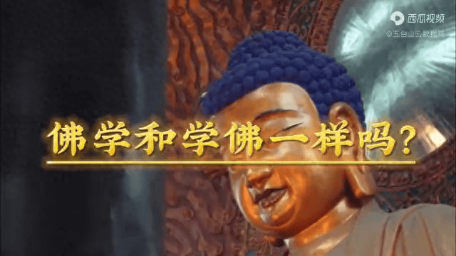 佛学和学佛,有什么区别?_药方_经典_佛陀
