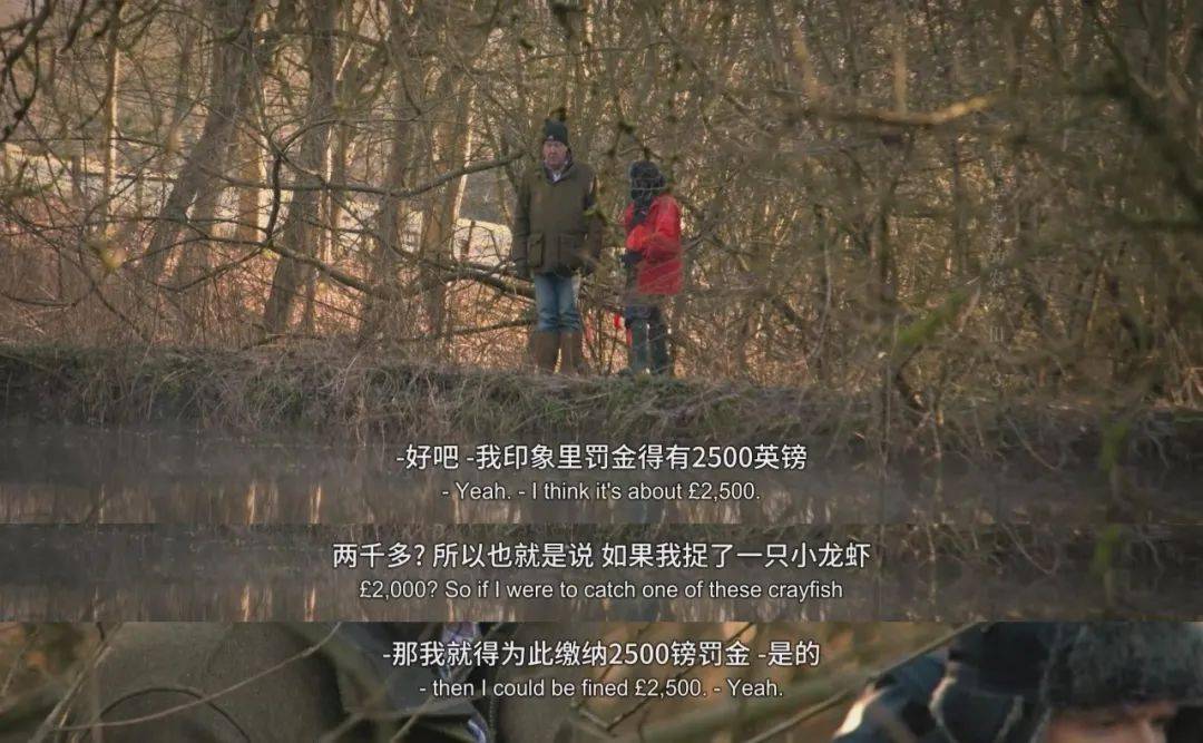 6分,又是全网追!围观母猪十八禁,怎么还越看越上头了!