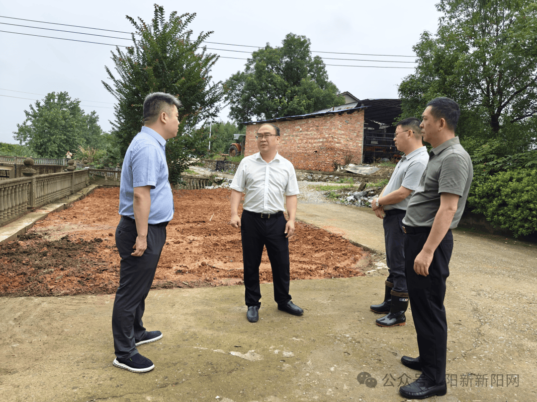 【民生】杨波督导检查防汛抗灾工作_阳新_农业_情况