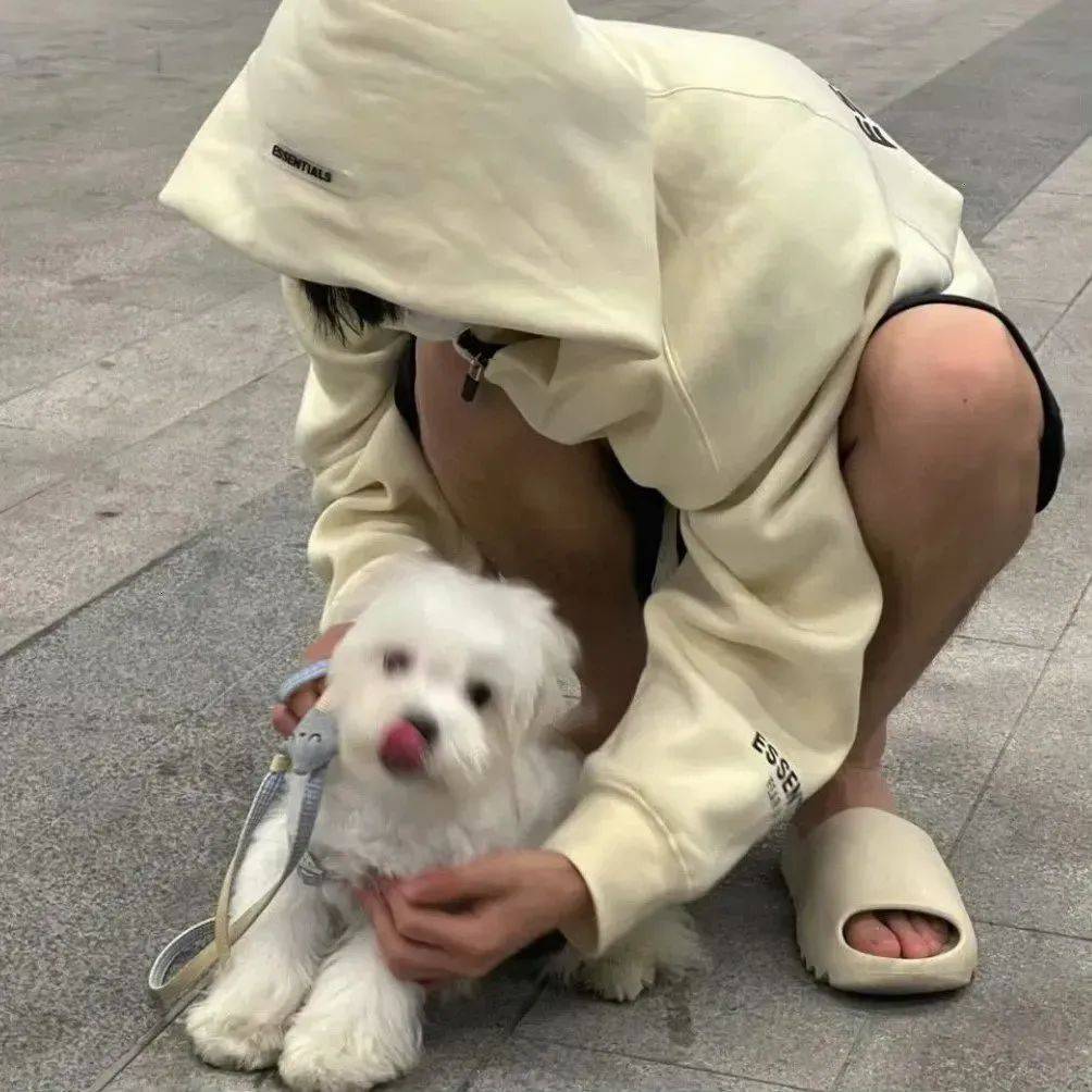 头像 | 电量1%也要保存的个性头像