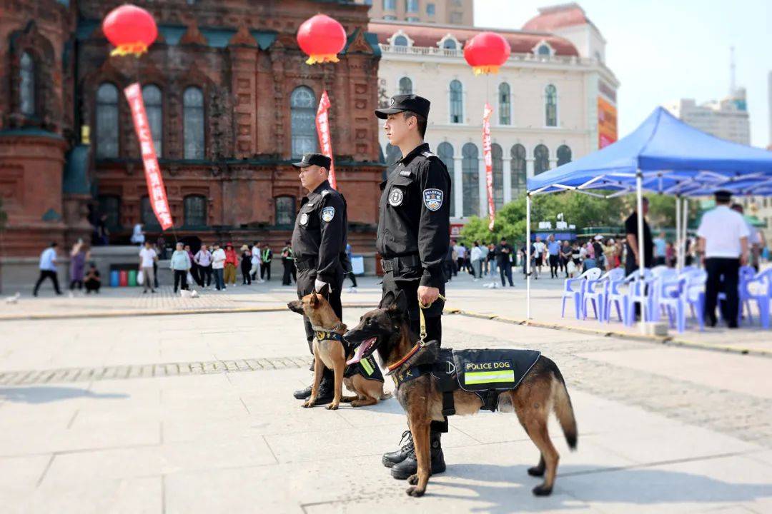 【6.26禁毒日】警犬篇：功勋犬助力禁毒宣传 “燃”爆全场_活动_精彩表演_技术