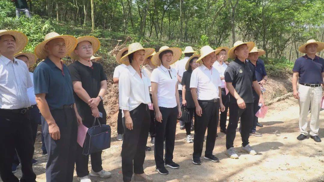 平和县,古雷开发区霞美镇,漳浦县南浦乡后坑村相关人员作了交流发言