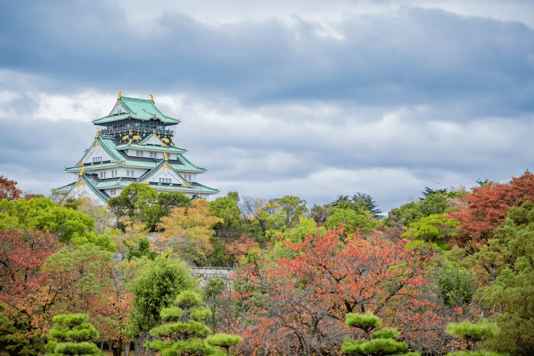 日本旅游撒欢节 