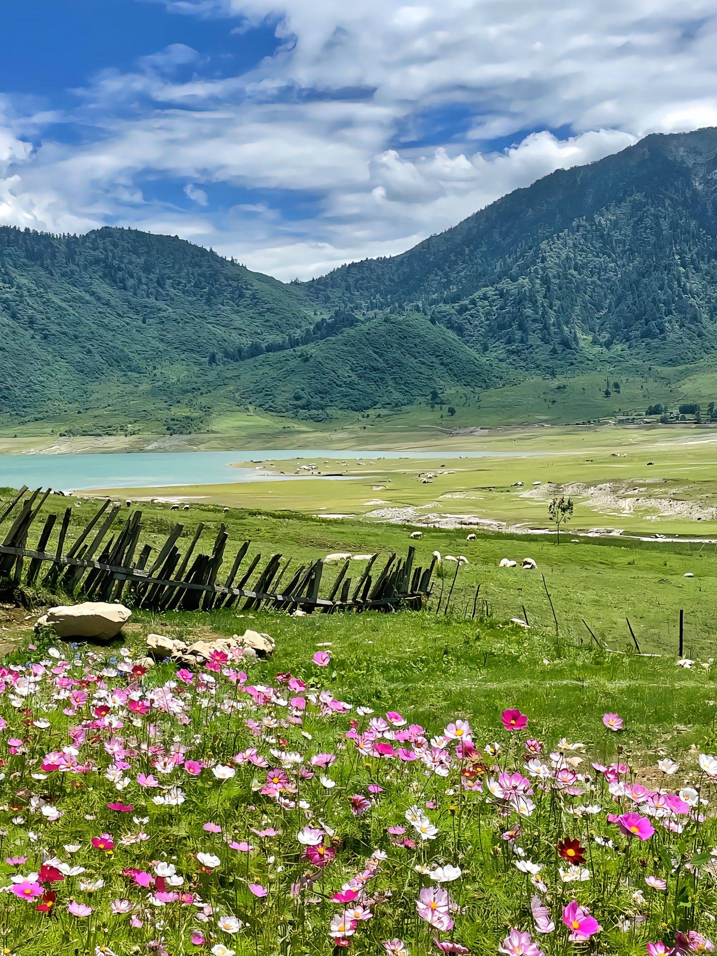 达州青青草原风景区图片