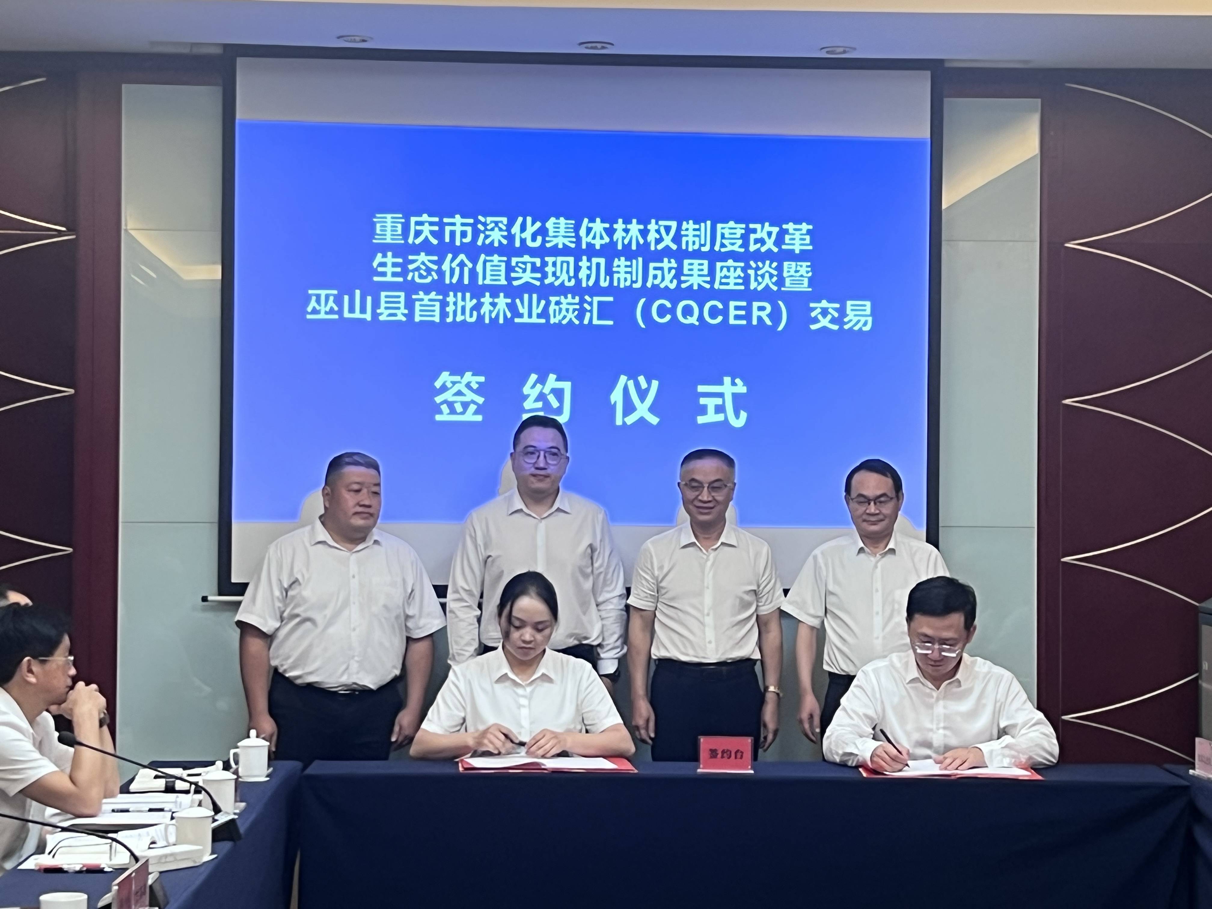 排污权交易:推动绿色经济发展的新引擎