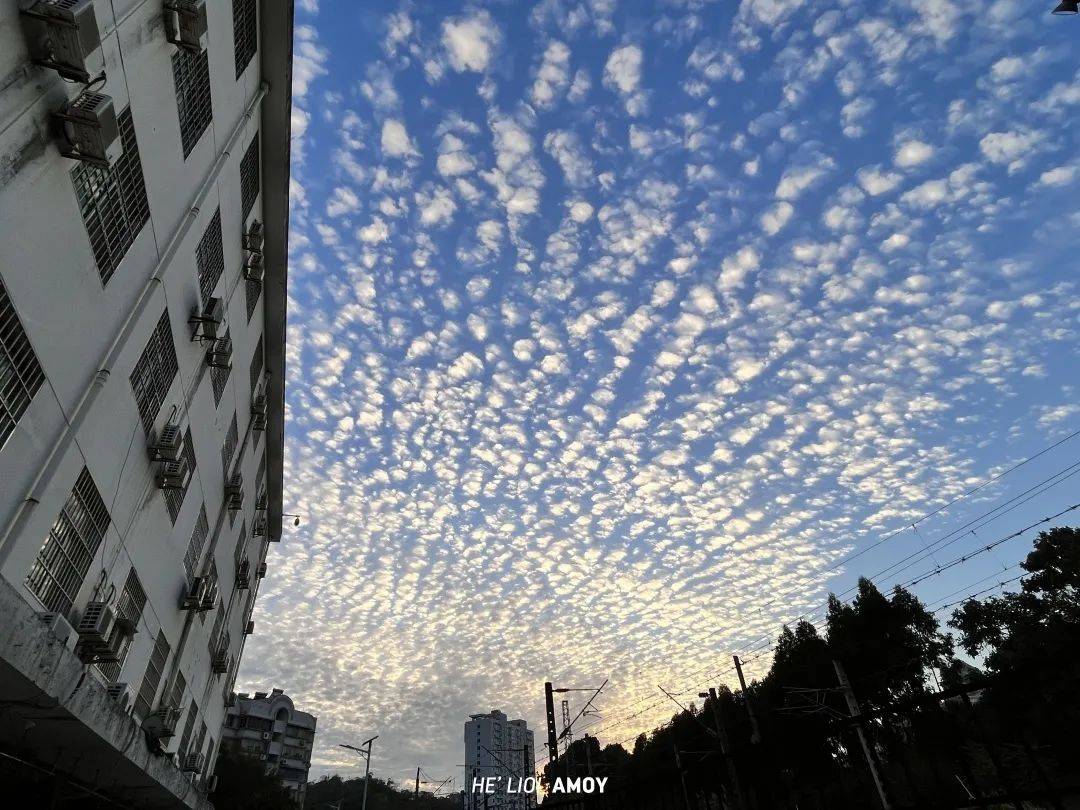 吹爆厦门限定"奢侈品":魔鬼火烧云!刷屏朋友圈,美到犯规的它,好米!