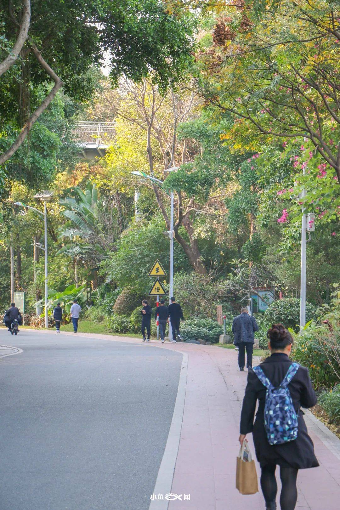 …这里不仅藏着厦门香火no1寺庙
