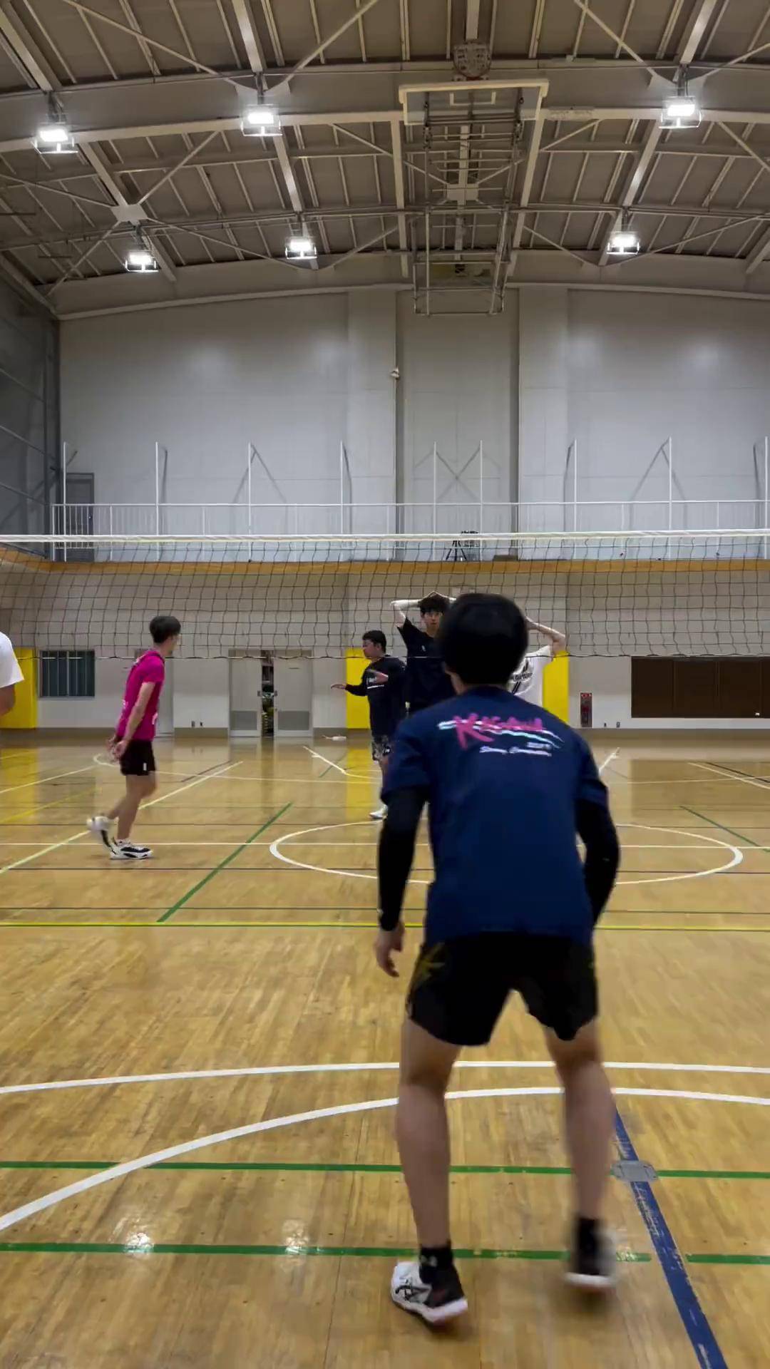 常用的背飞 排球 排球 volleyball 排球是一个永远向上的运动 用排球