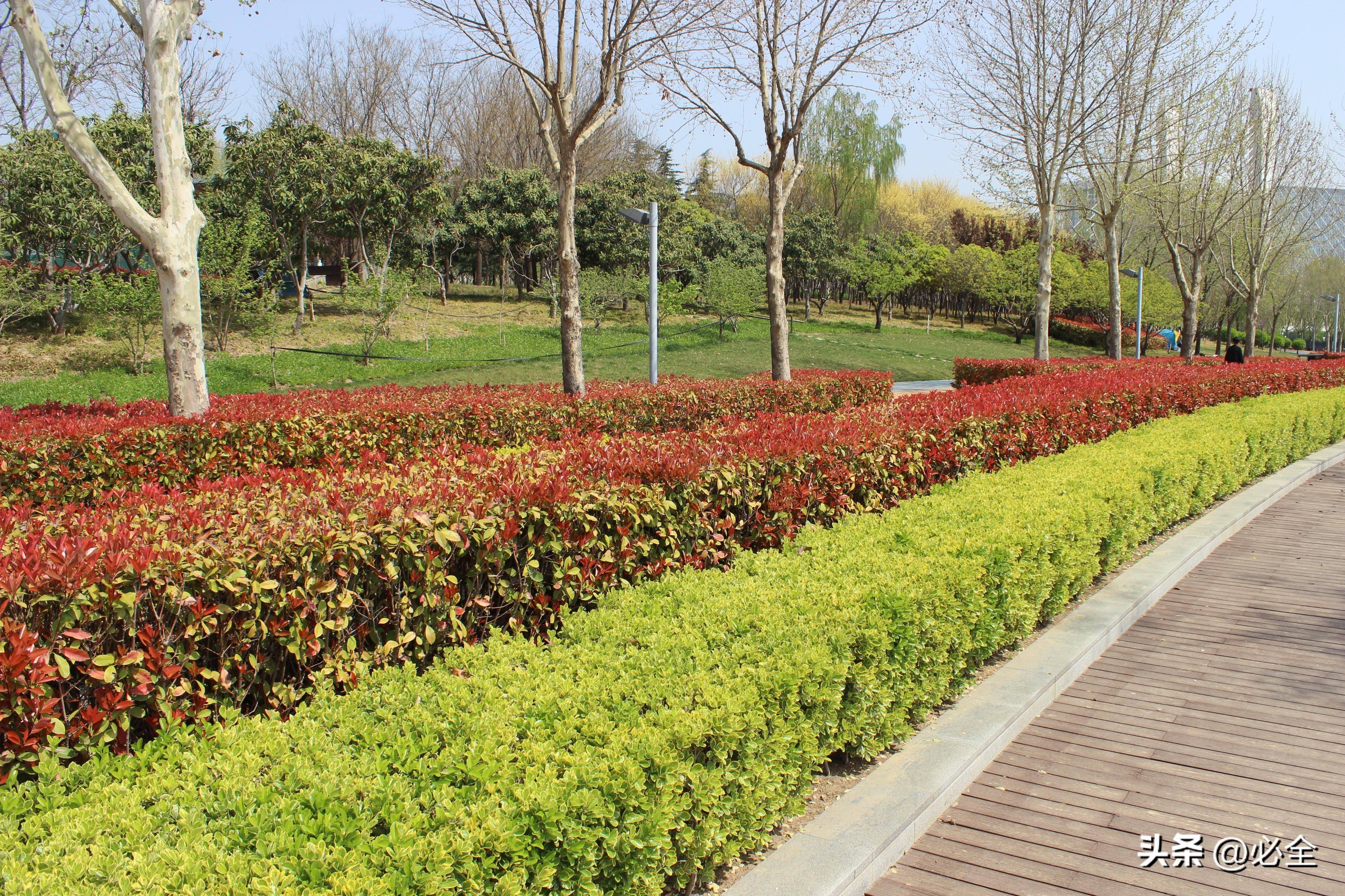 城市环岛景观设计绿化合理布置分析