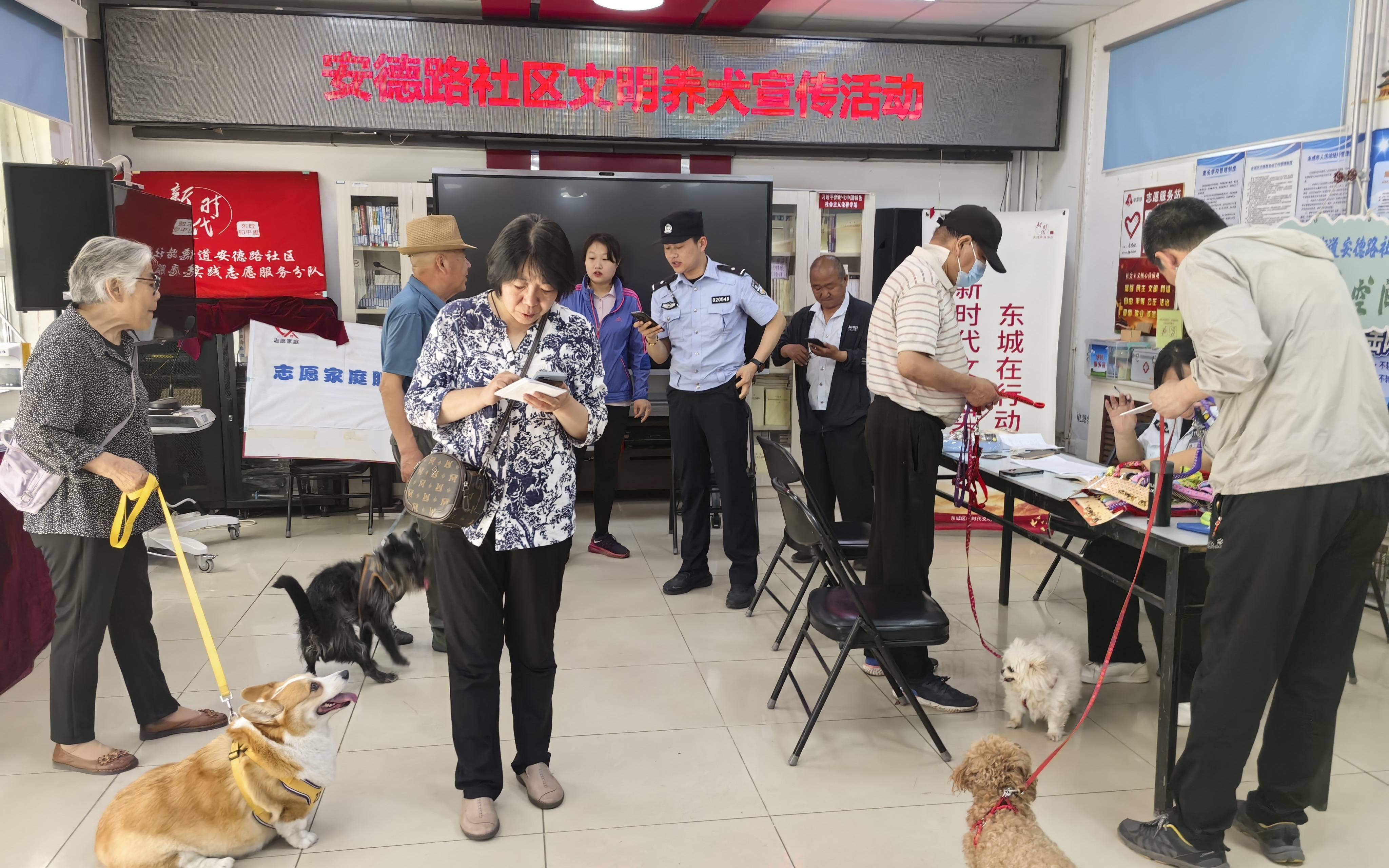 办理犬证年检 东城警方助力文明养犬 居民 一站式