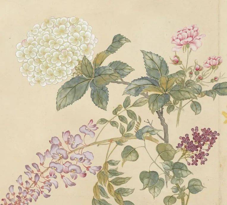 这花卉长卷,富丽清新