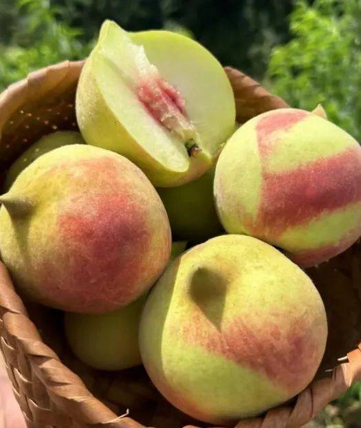 【云南鹰嘴桃】3斤29.9元!有机种植,独特鹰嘴尖!