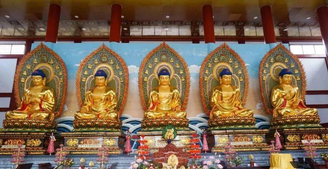 每周末发团 7月7日【漂一夏,嗨一夏,让你快乐一