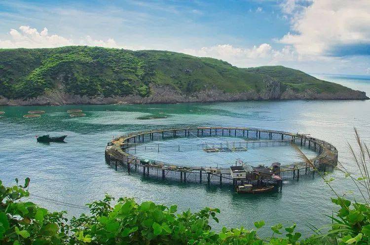 北麂岛之旅_摄影_温州_灯塔