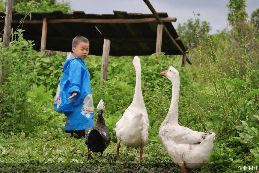 🌸中国科技网 【2024澳门精准正版资料】_公安部：全面落实城区常住人口300万以下城市取消落户限制要求