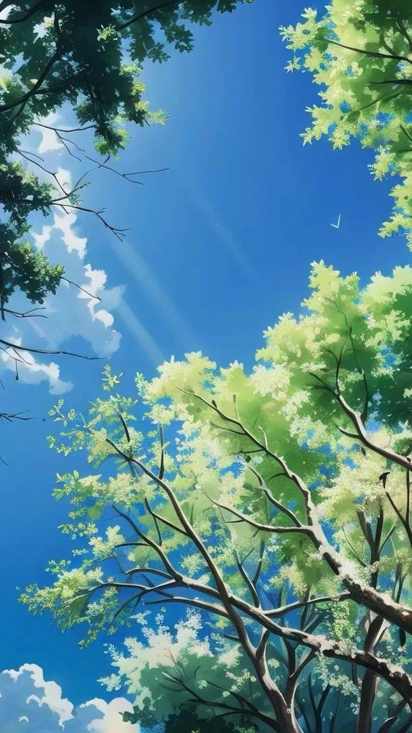 高颜值壁纸来啦!快把松山湖生态园美景装进手机里