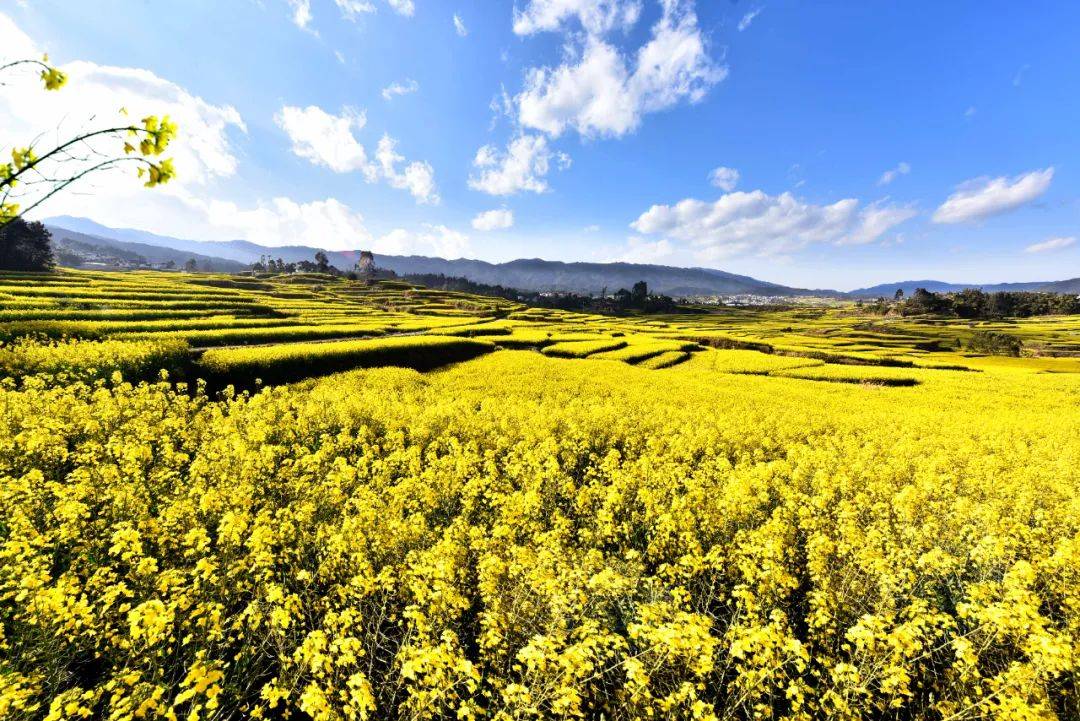 温度临沧 品味临翔_博尚_龚财荣_玉龙