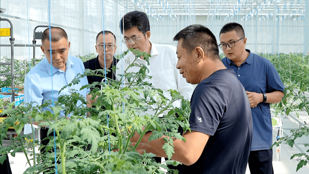 徐兰军深入安定区调研中央单位定点帮扶工作_乡村_产业